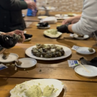 МАСТЕР КЛАСС ПО УЛИТКЕ СВЫШЕ 10 ЧЕЛОВЕК